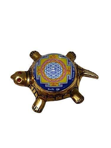 Dhan Laxmi Tortoise (Only Kachua) for Good Luck